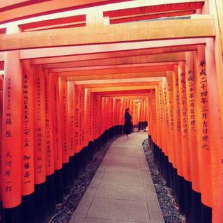 Fushimi Inari iPhone wallpaper