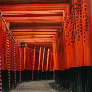 Fushimi Inari iPhone wallpaper