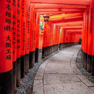 Fushimi Inari iPhone wallpaper