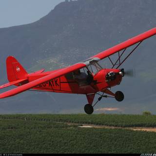 Piper J-3 Cub wallpaper