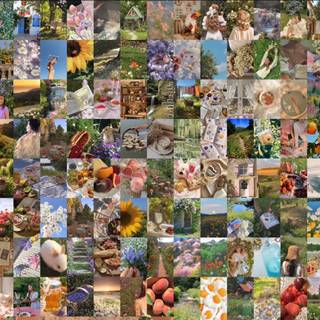 Cottagecore collage wallpaper