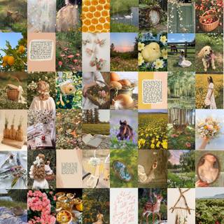 Cottagecore collage wallpaper