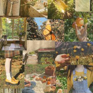 Cottagecore collage wallpaper