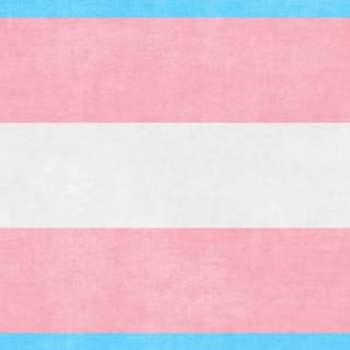 Trans and bisexual wallpaper