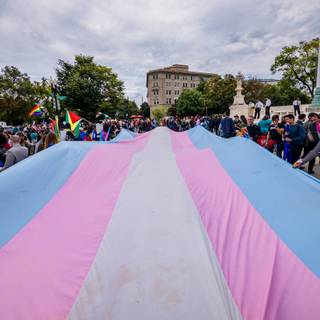 Trans and bisexual wallpaper