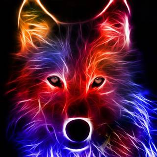 Neon wolf rainbow wallpaper