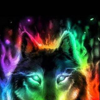 Neon wolf rainbow wallpaper