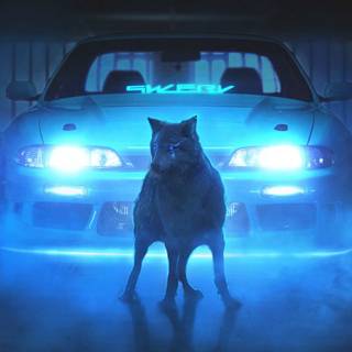 Neon wolf rainbow wallpaper