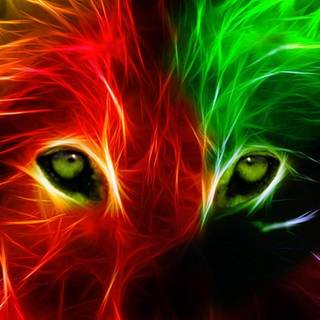 Neon wolf rainbow wallpaper