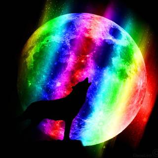 Neon wolf rainbow wallpaper