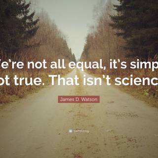 We are all equal wallpaper