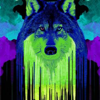 Neon wolf rainbow wallpaper