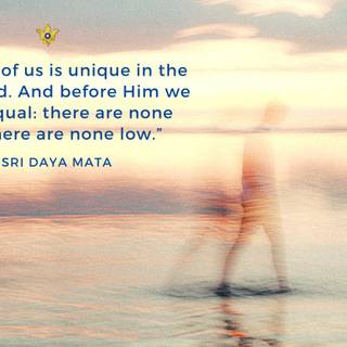 We are all equal wallpaper