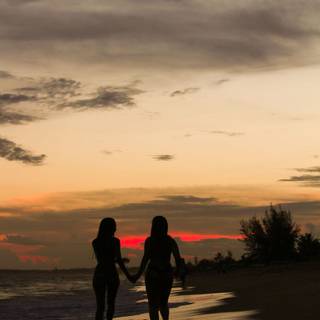 Lesbian matching wallpaper