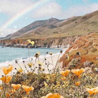Coastal wildflowers wallpaper