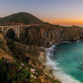 Coastal wildflowers wallpaper