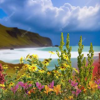 Coastal wildflowers wallpaper