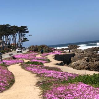 Coastal wildflowers wallpaper