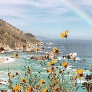 Coastal wildflowers wallpaper