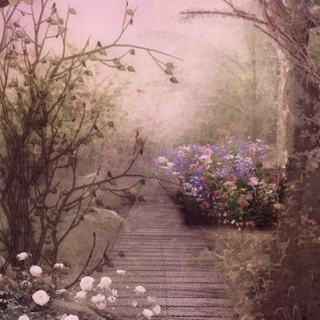 Forestcore wallpaper