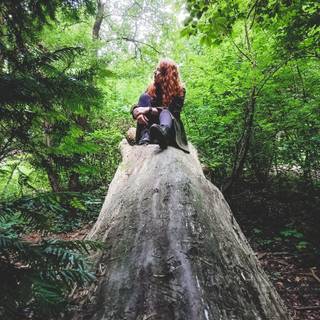 Forestcore wallpaper