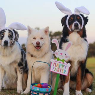 Happy Easter dog wallpaper