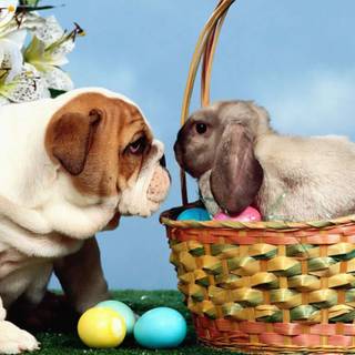 Happy Easter dog wallpaper
