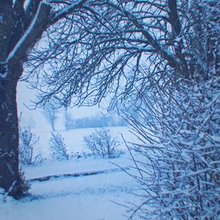 Winter blue pastel wallpaper