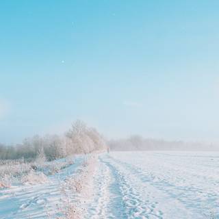 Winter blue pastel wallpaper
