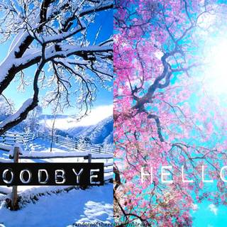 Bye bye winter wallpaper