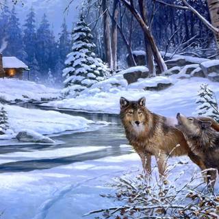 Winter cabin 1920x1080 wallpaper