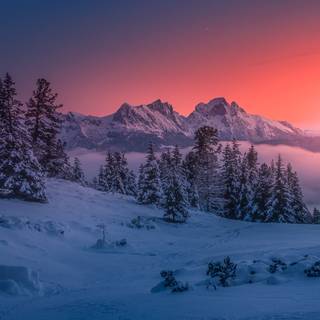 Winter forest 1920x1080 wallpaper