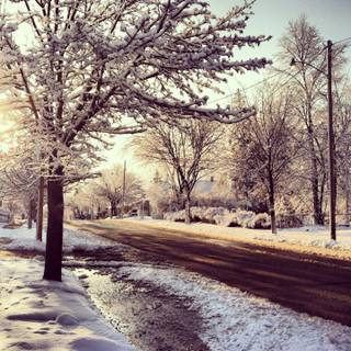 Bye bye winter wallpaper