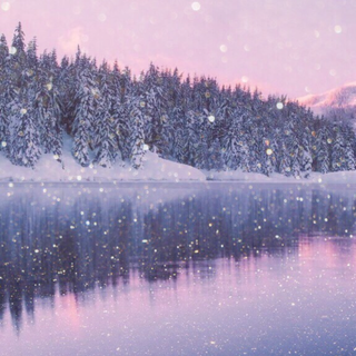 Purple and winter wallpaper