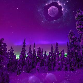 Purple and winter wallpaper