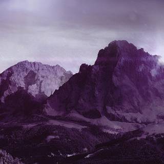 Purple and winter wallpaper