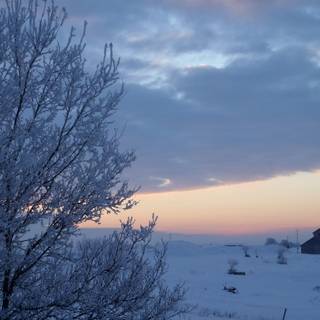 Bye bye winter wallpaper