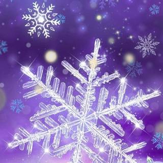 Purple and winter wallpaper