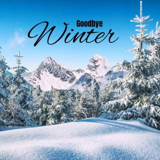 Bye bye winter wallpaper