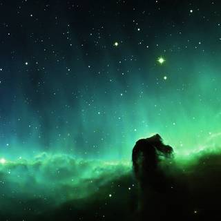 iPhone 4k green wallpaper