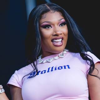 Megan Thee Stallion 2023 wallpaper