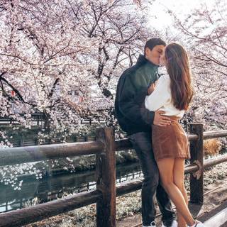 Spring couple wallpaper