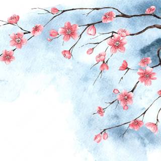 Spring blossom watercolor wallpaper