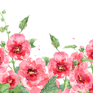 Spring blossom watercolor wallpaper