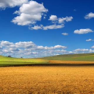 Windows XP spring wallpaper