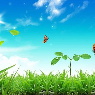 Windows XP spring wallpaper