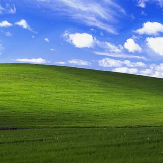 Windows XP spring wallpaper