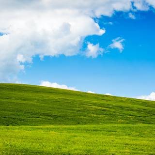 Windows XP spring wallpaper