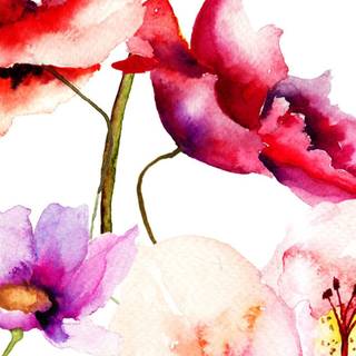 Spring blossom watercolor wallpaper