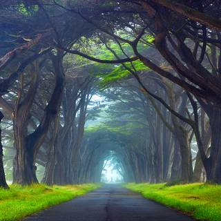 Point Reyes California wallpaper